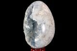Crystal Filled Celestine (Celestite) Egg Geode - Large Crystals! #88296-1